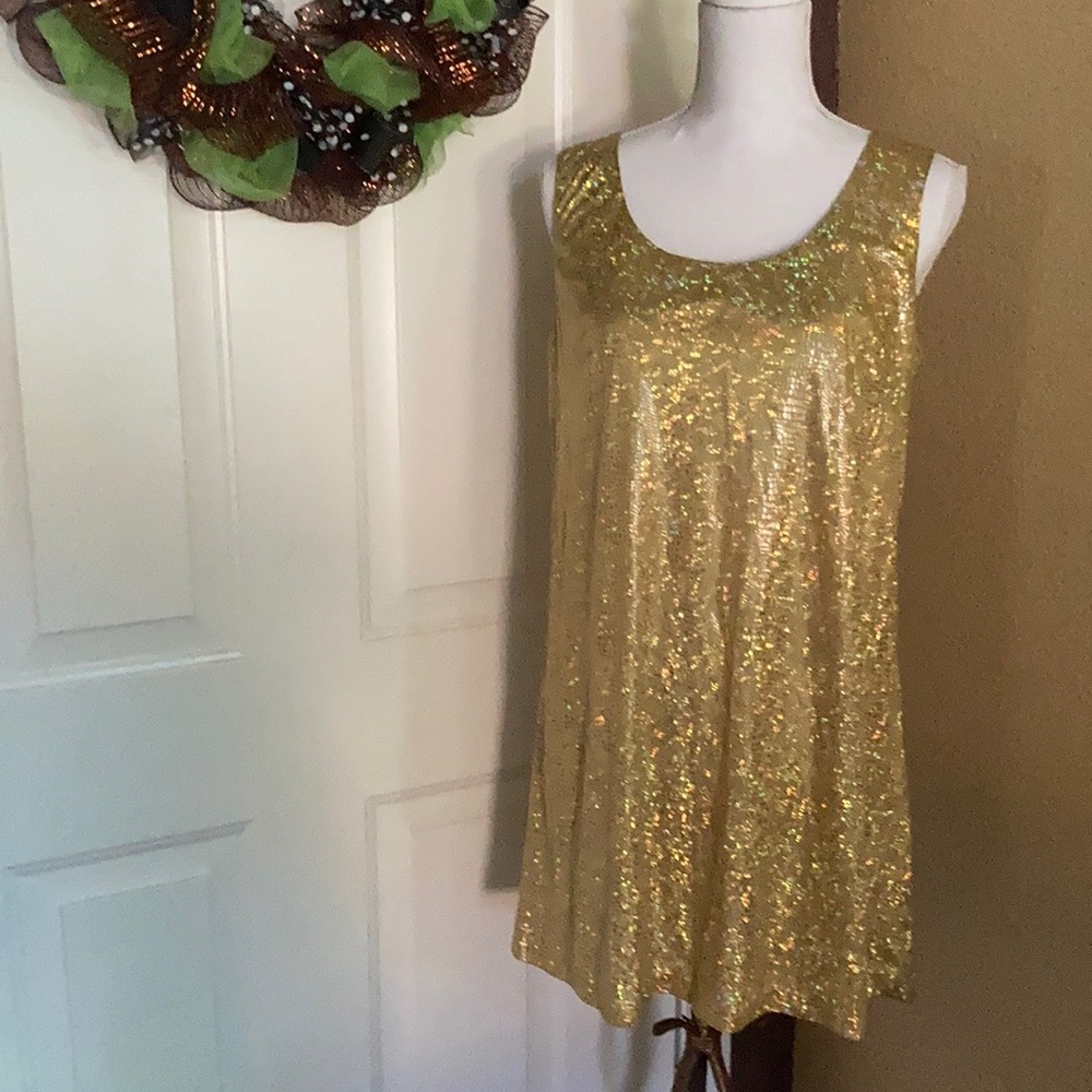 Sparkly Dress